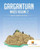Gargantuan Mazes Volume 2 : Maze Series Books