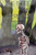 The Three Heretics (Bones Of The Earth)