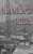 Raven'S Risk (Pulaski Saga) (Volume 3)