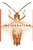Incineration (The Incubation Trilogy)