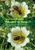 Garden Plants Valuable To Bees