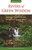 Rivers Of Green Wisdom: Exploring Christian And Yogic Earth Centred Spirituality (Greenspirit Book Series)