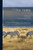 The Horse: Its Treatment in Health and Disease With a Complete Guide to Breeding, Training and Management; 6