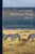 Ayrshire Breeders' Year Book; 1898