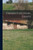 Fabian Colonial Essays