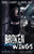 Broken Wings: A Dark High School Romance (Dark Legacy)