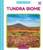 Tundra Biome (Beautiful Biomes)
