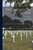 The Armies of To-day: a Description of the Armies of the Leading Nations at the Present Time