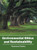 Environmental Ethics And Sustainability