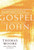 Gospel?The Book Of John: A New Translation With Commentary?Jesus Spirituality For Everyone