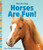 Horses Are Fun! (Pets Are Fun!)
