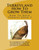 Turkeys And How To Grow Them: How To Raise Turkeys Book 3