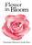 Flowers in Bloom - Hardcover