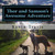 Thor And Samson'S Awesome Adventure