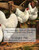 The Construction Of Chicken Houses, Coops And Yards
