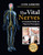 The Vital Nerves: A Practical Guide for Physical Therapists