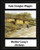 Mother Carey'S Chickens (1911) Novel By Kate Douglas Wiggin (Illustrated)
