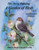 A Garden Of Birds Volume 3: Paint It Simply Concept Lessons