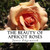 The Beauty Of Apricot Roses: A Text-Free Book For Seniors And Alzheimer'S Patients