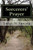Sorcerers Prayer: Precious Blood