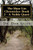 The Shao Lin Chronicles: Book 2 - A Noble Quest