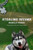 Stealing Second: 2Nd Book Of The Lucky Charms Series