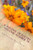 A Volume Of Poetry - Volume Number 78: The Collection Begins