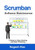 Scrumban Software Maintenance