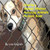 Charlie'S Animal Shelter Amazing Animals (Pet And Animals)