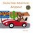 Dooley Bear Adventures Arizona!