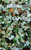 Mosaico De Literatura (Spanish Edition)
