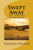 Swept Away: An Amish Romance