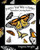 Practice Your Way To Perfect: Butterflies Coloring Book 2