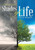 Shades Of Life: Poetic Rhythm