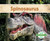 Spinosaurus (Dinosaurs)