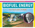 Biofuel Energy: Putting Plants To Work (Earth's Energy Innovations)