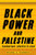 Black Power And Palestine: Transnational Countries Of Color (Stanford Studies In Comparative Race And Ethnicity)