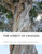 The Forest Of Changes: The Jiao Shi Yi Lin, A Han Dynasty Divination Manual