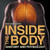 Inside The Body Anatomy And Physiology