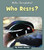 Who Rests? (Hello, Everglades!)