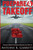 Prepare 4 Takeoff!: Overcome Beliefs & Behaviors Blocking Your Best Life