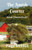 The Amish Courter: Amish Chances Book 1