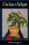 A Tree Grows In Thai Nguyen