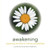 Awakening: Exploring The Flow Of Infinite Possibilities