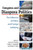 Congress And Diaspora Politics: The Influence Of Ethnic And Foreign Lobbying