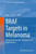 Braf Targets In Melanoma: Biological Mechanisms, Resistance, And Drug Discovery (Cancer Drug Discovery And Development, 82)