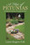 A Flat Of Petunias: Finding The Pathway Through The Pain