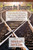 Across The Domains: Examining Best Practices In Mentoring Public School Educators Throughout The Professional Journey (Perspectives On Mentoring)
