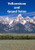 Yellowstone and Grand Teton - 9781389814013