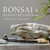 Bonsai & Miniature Gardens: 30 Years of Fun in the Garden